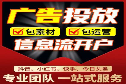 行业领先SEM服务公司案例研究